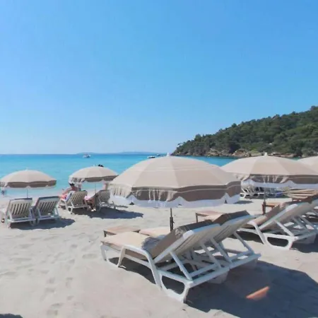 Spacieux Appt 3 Pieces Avec Terrasse Et Parking Au Lavandou - Fr-1-251-331 アパート ル・ラヴァンドゥー