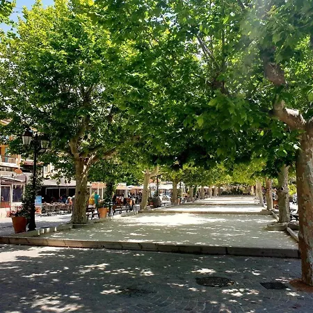 公寓 Spacieux Appt 3 Pieces Avec Terrasse Et Parking Au Lavandou - Fr-1-251-331 *