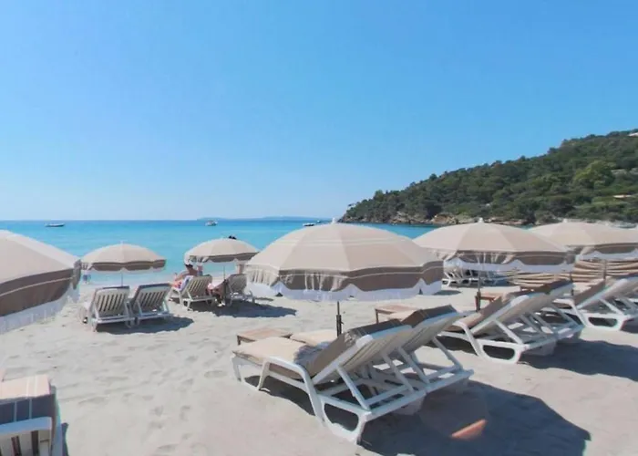 Spacieux Appt 3 Pieces Avec Terrasse Et Parking Au Lavandou - Fr-1-251-331 Apartman Le Lavandou