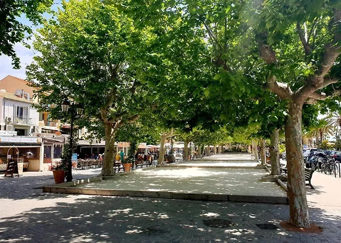 公寓 Spacieux Appt 3 Pieces Avec Terrasse Et Parking Au Lavandou - Fr-1-251-331 *