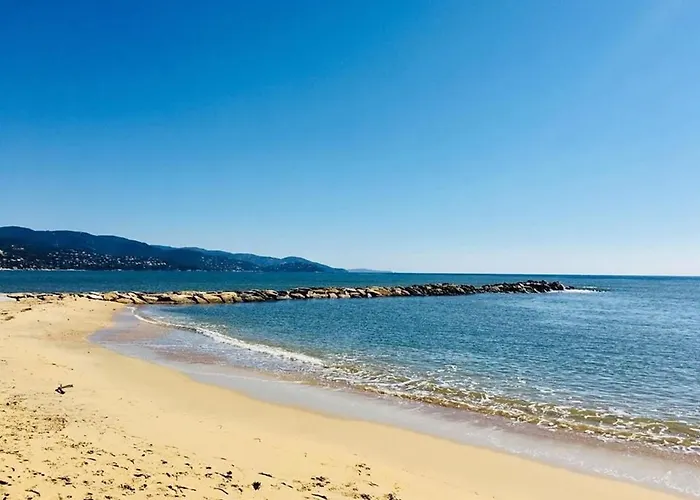 Spacieux Appt 3 Pieces Avec Terrasse Et Parking Au Lavandou - Fr-1-251-331 * Le Lavandou